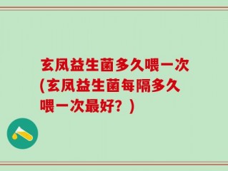 玄凤益生菌多久喂一次(玄凤益生菌每隔多久喂一次最好？)
