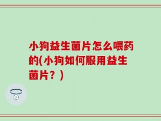 小狗益生菌片怎么喂药的(小狗如何服用益生菌片？)