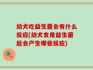 幼犬吃益生菌会有什么反应(幼犬食用益生菌后会产生哪些反应)