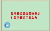 兔子着凉益生菌吃多少？兔子着凉了怎么办