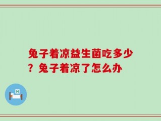 兔子着凉益生菌吃多少？兔子着凉了怎么办
