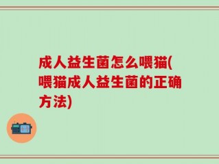成人益生菌怎么喂猫(喂猫成人益生菌的正确方法)