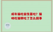成年猫吃益生菌吐？猫咪吃猫粮吐了怎么回事