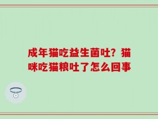 成年猫吃益生菌吐？猫咪吃猫粮吐了怎么回事