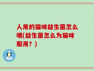 人用的猫咪益生菌怎么喂(益生菌怎么为猫咪服用？)