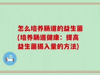 怎么培养肠道的益生菌(培养肠道健康：提高益生菌摄入量的方法)
