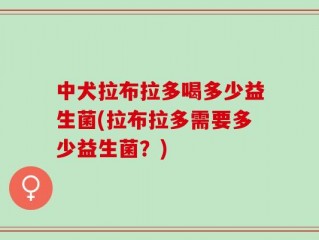 中犬拉布拉多喝多少益生菌(拉布拉多需要多少益生菌？)