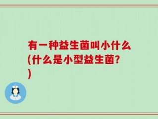 有一种益生菌叫小什么(什么是小型益生菌？)