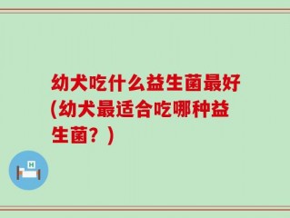 幼犬吃什么益生菌最好(幼犬最适合吃哪种益生菌？)
