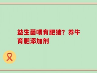 益生菌喂育肥猪？养牛育肥添加剂