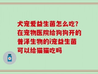 犬宠爱益生菌怎么吃？在宠物医院给狗狗开的普泽生物的i宠益生菌可以给猫猫吃吗
