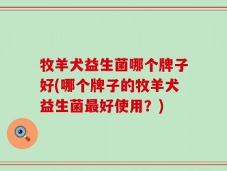 牧羊犬益生菌哪个牌子好(哪个牌子的牧羊犬益生菌最好使用？)