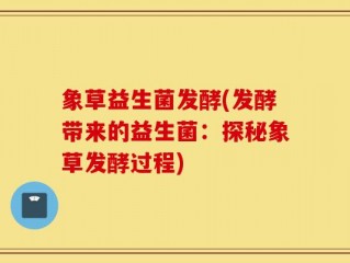 象草益生菌发酵(发酵带来的益生菌：探秘象草发酵过程)