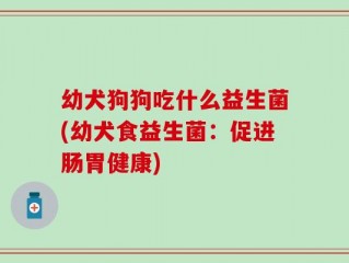 幼犬狗狗吃什么益生菌(幼犬食益生菌：促进肠胃健康)