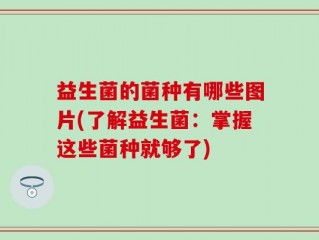 益生菌的菌种有哪些图片(了解益生菌：掌握这些菌种就够了)