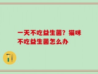 一天不吃益生菌？猫咪不吃益生菌怎么办
