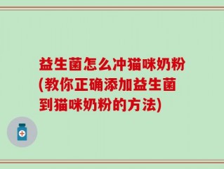 益生菌怎么冲猫咪奶粉(教你正确添加益生菌到猫咪奶粉的方法)