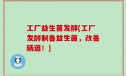 工厂益生菌发酵(工厂发酵制备益生菌，改善肠道！)