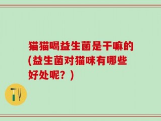 猫猫喝益生菌是干嘛的(益生菌对猫咪有哪些好处呢？)