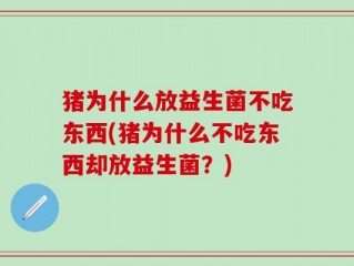 猪为什么放益生菌不吃东西(猪为什么不吃东西却放益生菌？)