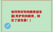 如何养好狗狗肠胃益生菌(养护狗狗肠胃，别忘了益生菌！)