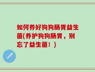 如何养好狗狗肠胃益生菌(养护狗狗肠胃，别忘了益生菌！)