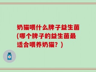 奶猫喂什么牌子益生菌(哪个牌子的益生菌最适合喂养奶猫？)