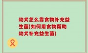 幼犬怎么靠食物补充益生菌(如何用食物帮助幼犬补充益生菌)