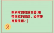 新到家鹦鹉益生菌(刚带回家的鹦鹉，如何使用益生菌？)