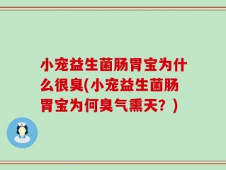 小宠益生菌肠胃宝为什么很臭(小宠益生菌肠胃宝为何臭气熏天？)
