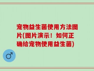 宠物益生菌使用方法图片(图片演示！如何正确给宠物使用益生菌)