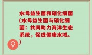 水母益生菌和硝化细菌(水母益生菌与硝化细菌：共同助力海洋生态系统，促进健康水域。)