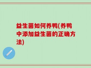 益生菌如何养鸭(养鸭中添加益生菌的正确方法)
