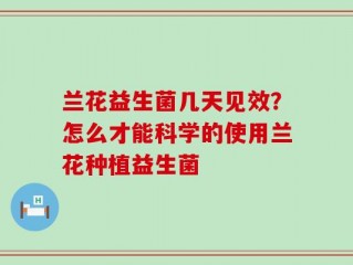 兰花益生菌几天见效？怎么才能科学的使用兰花种植益生菌