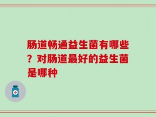 肠道畅通益生菌有哪些？对肠道最好的益生菌是哪种