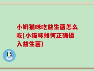 小奶猫咪吃益生菌怎么吃(小猫咪如何正确摄入益生菌)