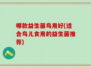 哪款益生菌鸟用好(适合鸟儿食用的益生菌推荐)