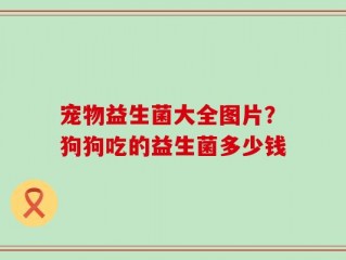 宠物益生菌大全图片？狗狗吃的益生菌多少钱