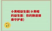 小黄帽益生菌(小黄帽的益生菌：你的肠道健康守护者)