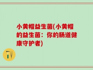 小黄帽益生菌(小黄帽的益生菌：你的肠道健康守护者)