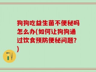 狗狗吃益生菌不便秘吗怎么办(如何让狗狗通过饮食预防便秘问题？)