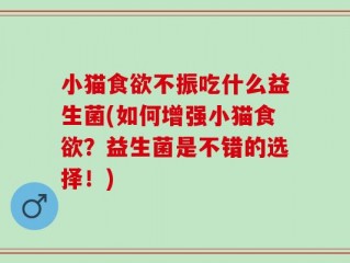 小猫食欲不振吃什么益生菌(如何增强小猫食欲？益生菌是不错的选择！)