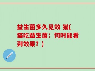 益生菌多久见效 猫(猫吃益生菌：何时能看到效果？)