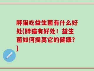 胖猫吃益生菌有什么好处(胖猫有好处！益生菌如何提高它的健康？)