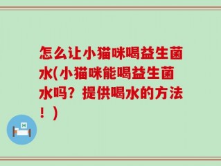 怎么让小猫咪喝益生菌水(小猫咪能喝益生菌水吗？提供喝水的方法！)