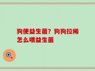 狗便益生菌？狗狗拉稀怎么喂益生菌