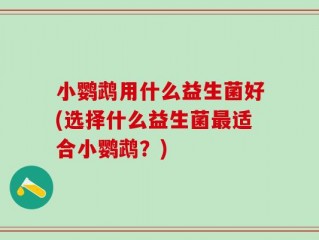 小鹦鹉用什么益生菌好(选择什么益生菌最适合小鹦鹉？)
