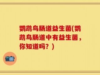 鹦鹉鸟肠道益生菌(鹦鹉鸟肠道中有益生菌，你知道吗？)