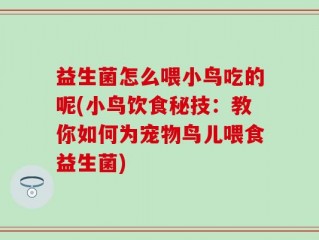 益生菌怎么喂小鸟吃的呢(小鸟饮食秘技：教你如何为宠物鸟儿喂食益生菌)