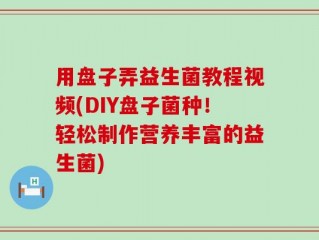 用盘子弄益生菌教程视频(DIY盘子菌种！轻松制作营养丰富的益生菌)